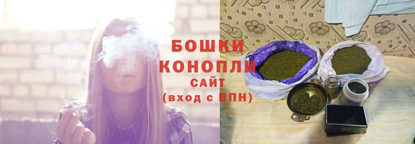 бошки Нея